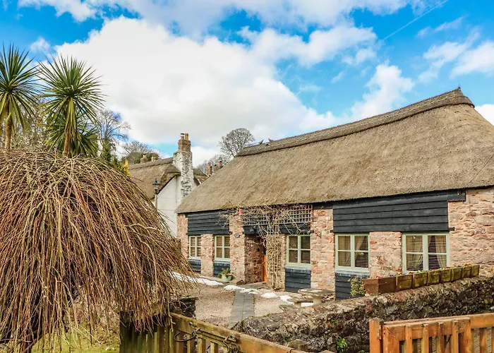 Meadow Thatch
